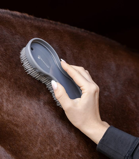 Jak skompletować idealny zestaw szczotek dla konia