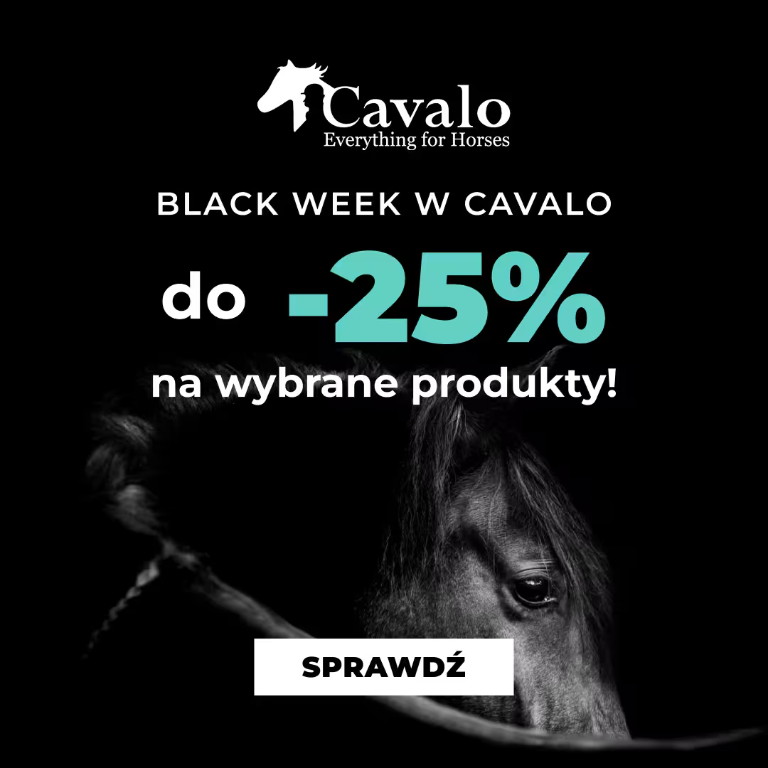 Black Friday w Cavalo