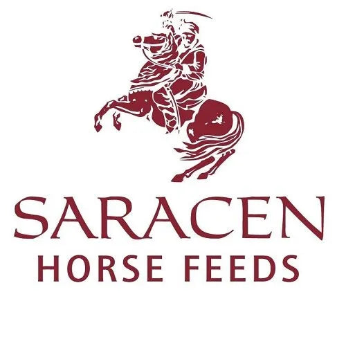 Saracen