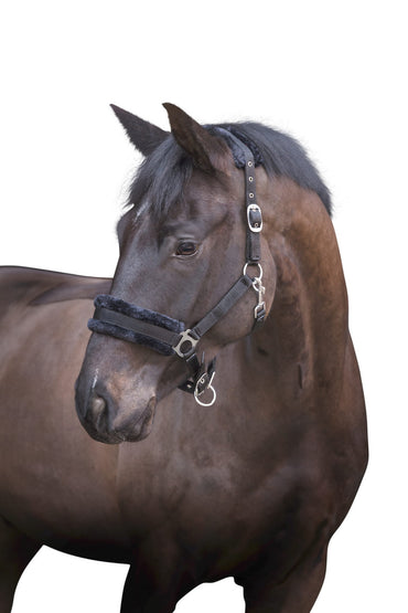 Kantar dla konia ze sztucznym futrem, czarny, roz. Pony, Covalliero