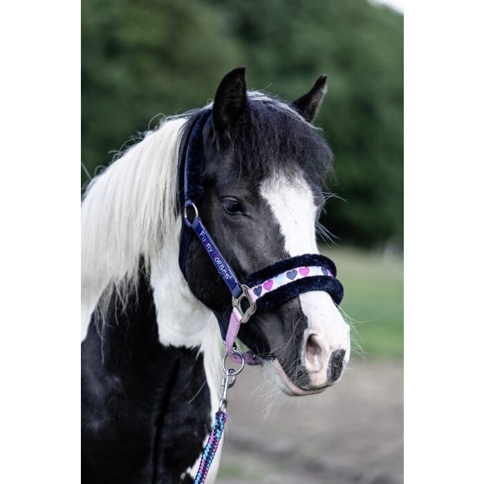 Kantar HKM Funny Horses Hearts granat