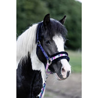 Kantar HKM Funny Horses Hearts granat
