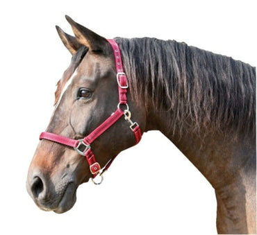 Kantar dla konia Mustang czerwony/czarny Covalliero