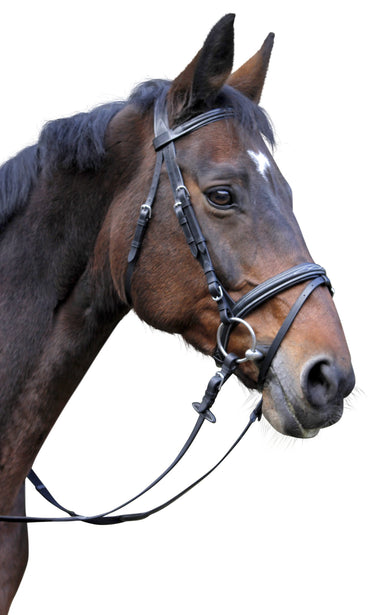Ogłowie  dla konia Classic, brązowy, roz. Pony, Covalliero