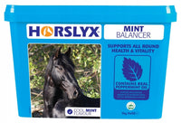 Horslyx Mint Balancer lizawka witaminowa 5kg
