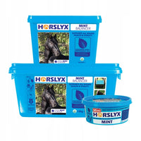 Horslyx Mint Balancer lizawka witaminowa 5kg