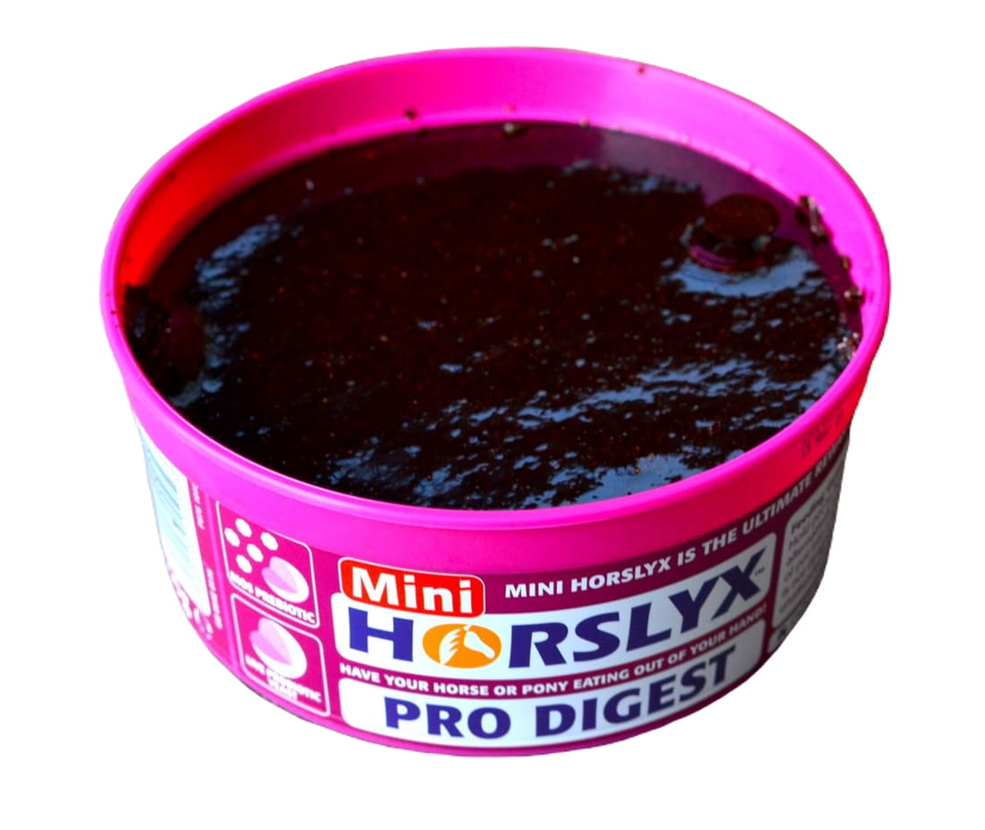 Horslyx Pro Digest Balancer lizawka witamina 650g