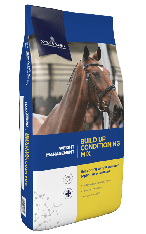 Pasza Dodson & Horrell Build Up Conditionin Mix 20 kg