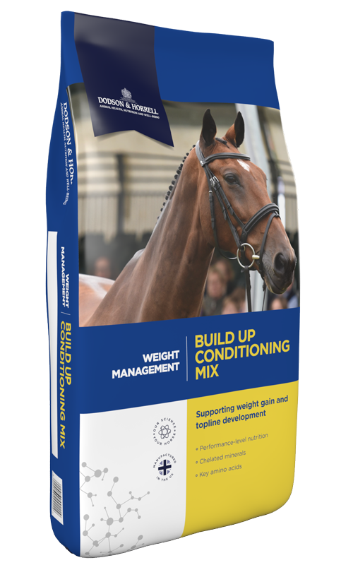 Pasza Dodson & Horrell Build Up Conditionin Mix 20 kg