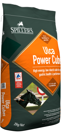 Pasza Spillers Ulca Power Cubes na chorobę wrzodową układu pokarmowego 25 kg