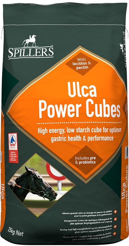 Pasza Spillers Ulca Power Cubes na chorobę wrzodową układu pokarmowego 25 kg
