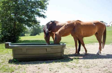Poidło pastwiskowe Kerbl 550 l z zaworem pływakowym (Kopia)