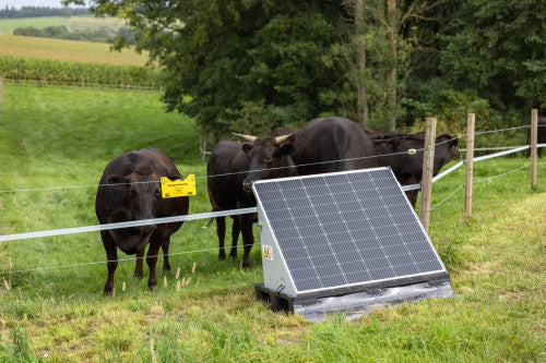 AKO Solar PowerStation smart XL w użyciu, stacja solarna 12 J do pastucha elektrycznego