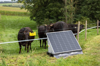 AKO Solar PowerStation smart XL w użyciu, stacja solarna 12 J do pastucha elektrycznego