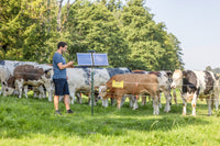Elektryzator solarny AKO Sun Power S4000 Smart dla koni, bydła, dzikiej zwierzyny 5,5J