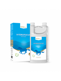 HorseLinePro HydroFocus elektrolity 1000ml