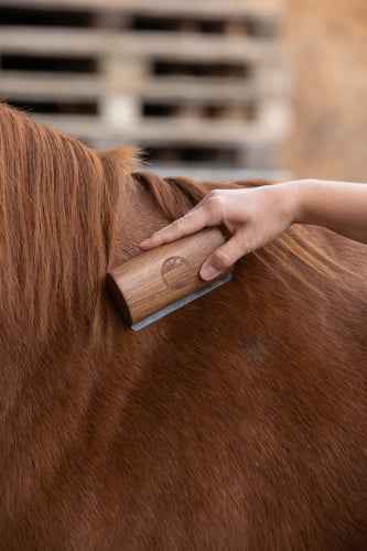 Szczotka do wyczesywania Fellboy, Magic Brush 13cm