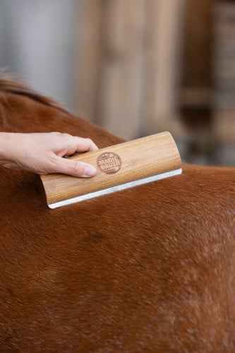 Szczotka do wyczesywania Fellboy, Magic Brush 13cm