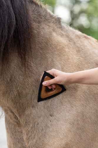 Szczotka do wyczesywania trójkąt, Magic Brush