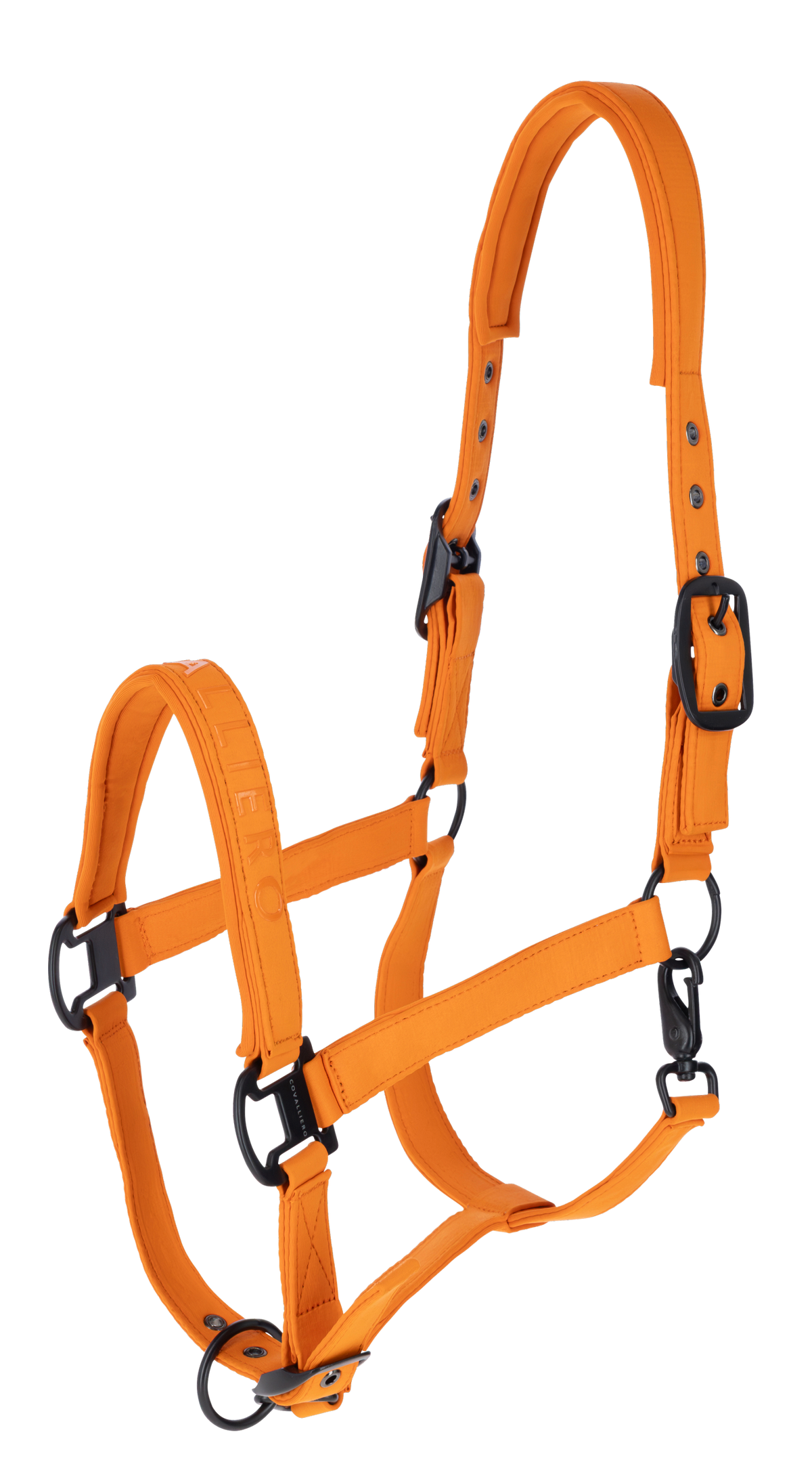 Covalliero Kantar, A/W 2026, orange
