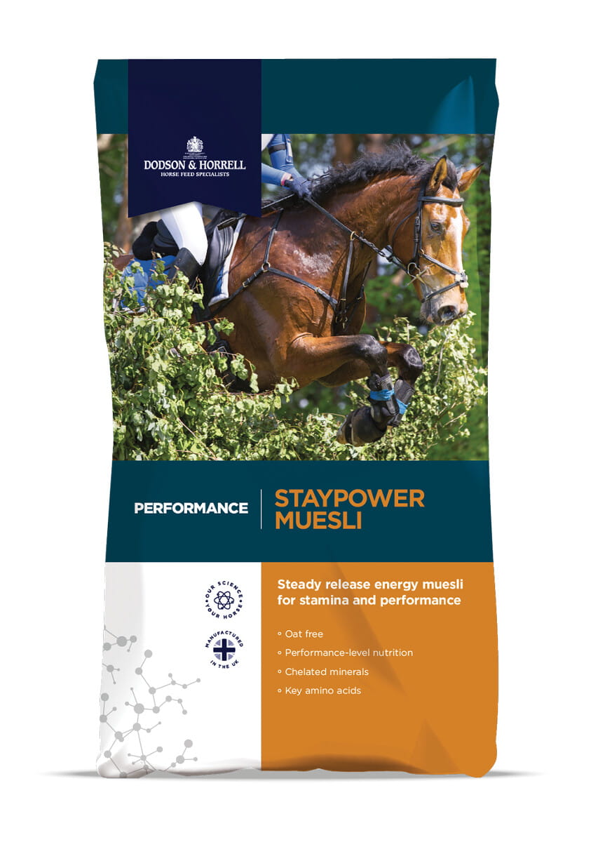 Dodson & Horrell  Staypower Muesli 20kg dla koni w intensywnym treningu