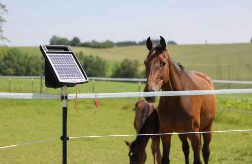 Elektryzator solarny dla koni AKO S6