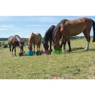 Karmidło koryto żłób przenośny zawieszany dla koni 13,5 litra