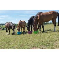 Karmidło koryto żłób przenośny zawieszany dla koni 13,5 litra