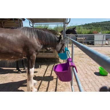 Karmidło koryto żłób przenośny zawieszany dla koni 13,5 litra