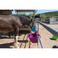 Karmidło koryto żłób przenośny zawieszany dla koni 13,5 litra