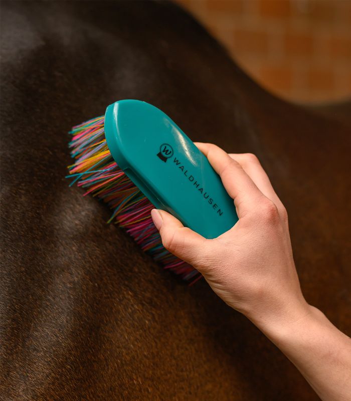 WALDHAUSEN Rainbow Body Brush – szczotka do sierści konia z długim miękkim włosiem