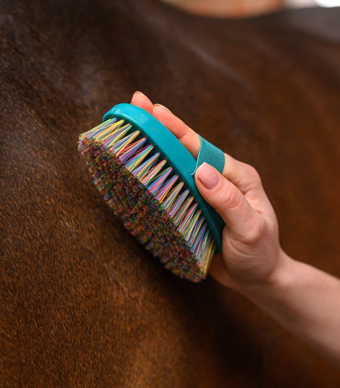 WALDHAUSEN Rainbow Grooming Brush – kolorowa szczotka do delikatnej pielęgnacji sierści konia