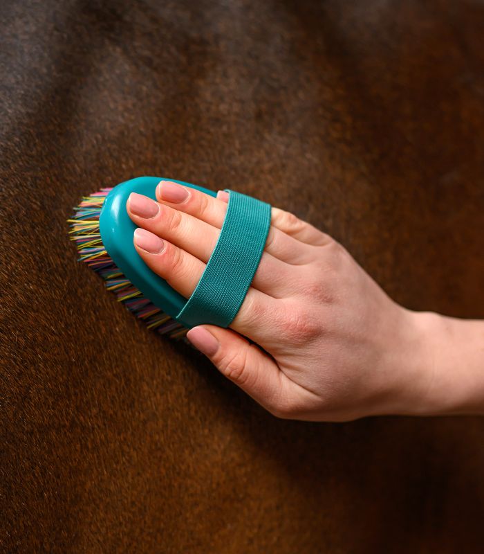 WALDHAUSEN Rainbow Grooming Brush – kolorowa szczotka do delikatnej pielęgnacji sierści konia