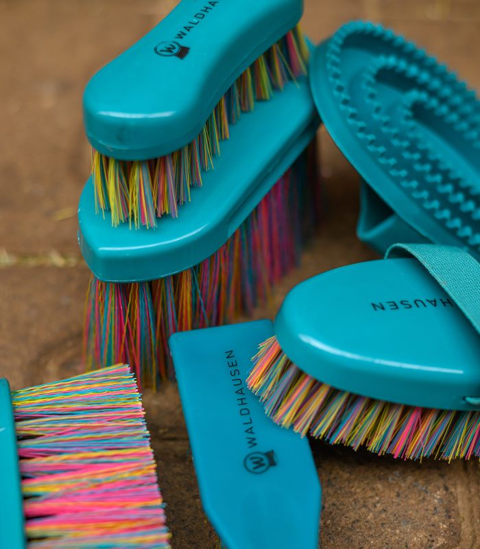 WALDHAUSEN Rainbow Head Brush – delikatna szczotka do pielęgnacji głowy i nóg konia