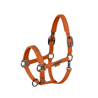Eskadron Platinum 26 Kantar Sparkle Double Pin amber