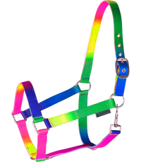 Kantar Waldhausen Rainbow – kolorowy kantar regulowany