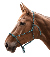 Kantar sznurkowy Waldhausen Knotted Halter Black/Mint