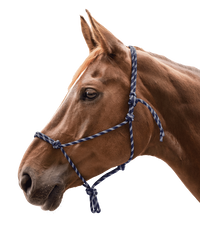 Kantar sznurkowy Waldhausen Knotted Halter Night Blue/Silver