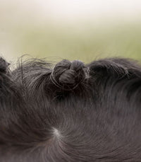 Waldhausen Mane-Plaiting Set – zestaw do zaplatania grzywy