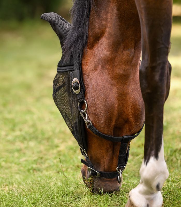 Waldhausen PREMIUM Fly Mask with Halter – maska przeciw owadom z kantarem