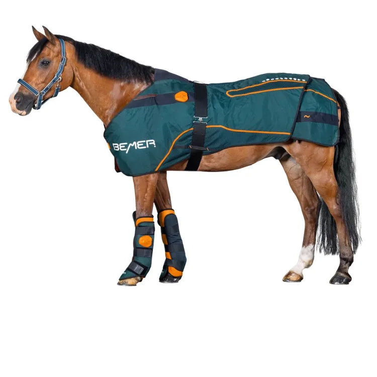 Derka Zestaw BEMER Horse – kompleksowa terapia dla Twojego konia