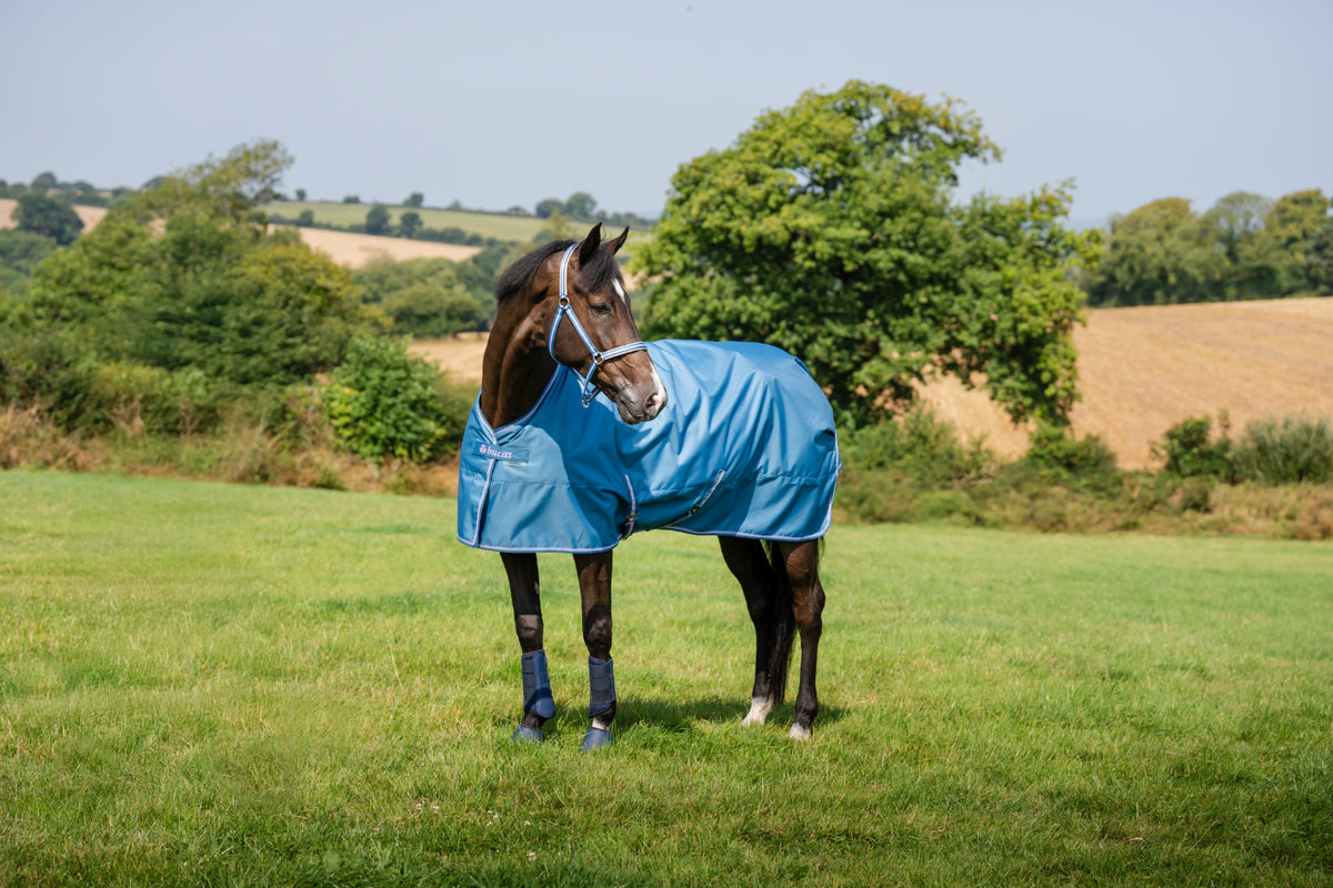 Derka stajenna Bucas Freedom Stable 150 AW26 Blueberry