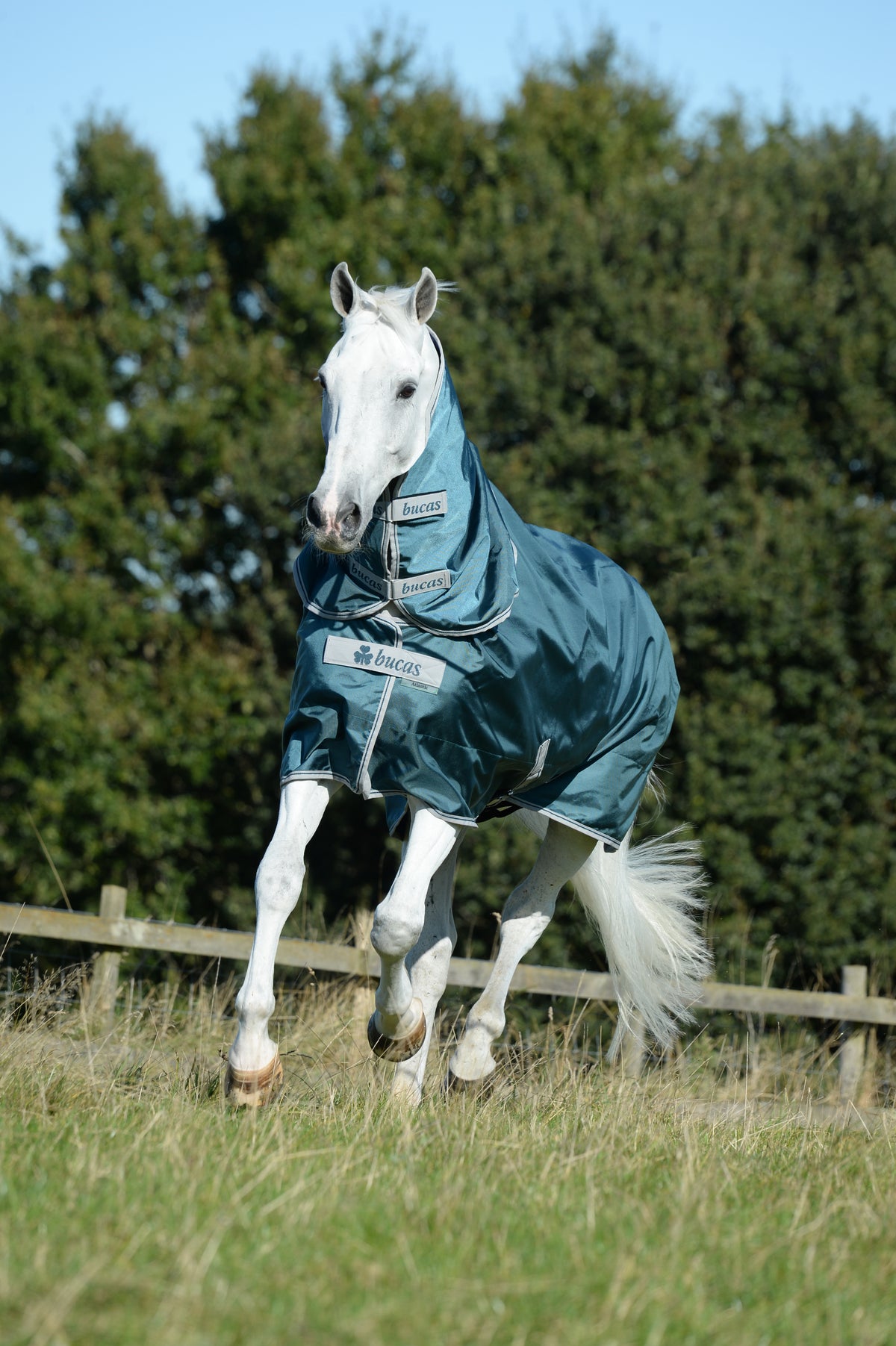 Kaptur Bucas Atlantic Turnout 50g green
