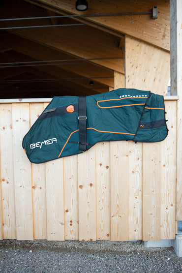 Derka BEMER Horse – kompleksowa terapia dla Twojego konia