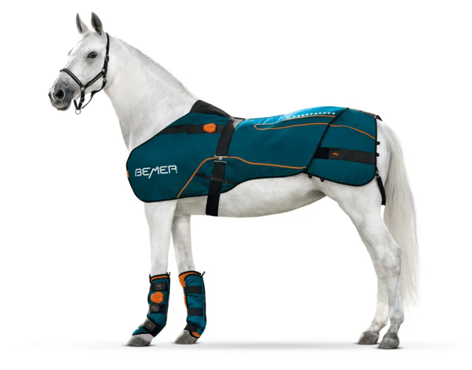 Derka BEMER Horse – kompleksowa terapia dla Twojego konia