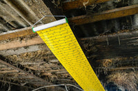 Lep na muchy w rolce FlyMaster 10 m x 40 cm Cit