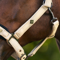 Imperial Riding Kantar Jewel Mesh Light Olive z brokatowym nachrapnikiem i siateczką mesh