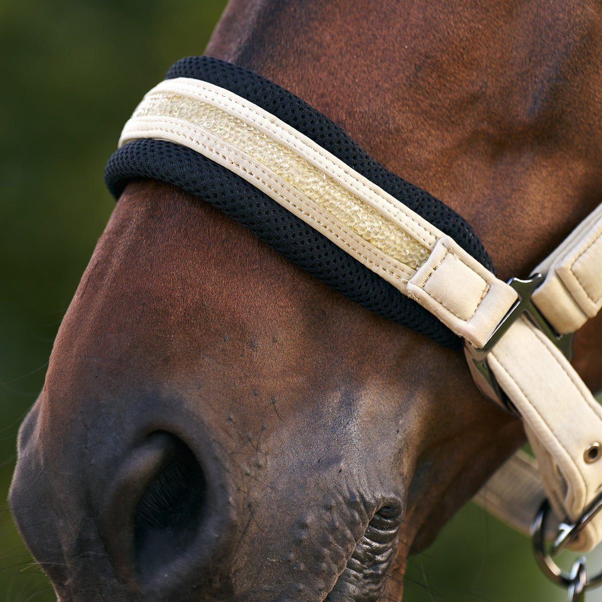 Imperial Riding Kantar Jewel Mesh Light Olive z miękką wyściółką softshell