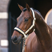 Imperial Riding Kantar Jewel Mesh Light Olive, kantar dla konia w rozmiarach Pony, Cob i Full