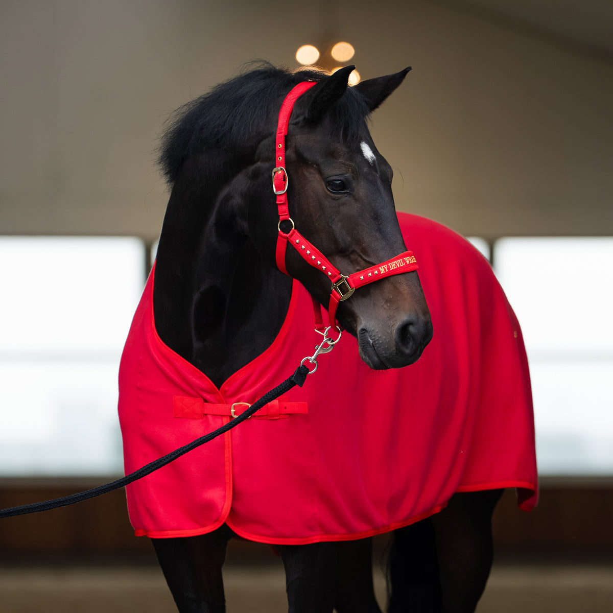 Imperial Riding Kantar Devil Red z welurową wyściółką i haftem lurex